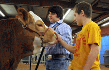 webFFAStockShow_20120106_STau_0683